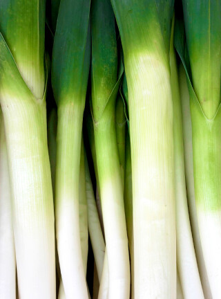 La poireaux, c’est de saison !